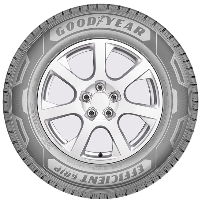 EfficientGrip Cargo - Letní Tire - 195/65/R16/100H